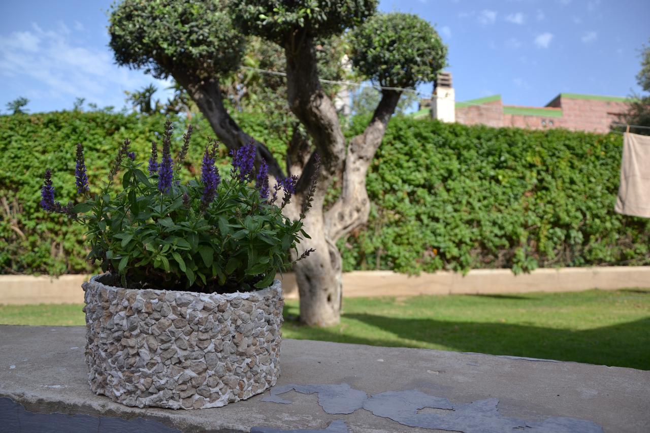 Villa Rosanna Capoterra Exteriör bild